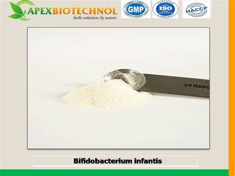 Bifidobacterium infantis | tradekorea