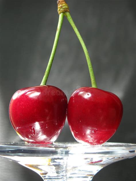 Two Cherries Stock Image Image Of Fruits Vegetarian 11659849