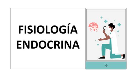 SOLUTION Fisiolog A Endocrina Eje Hipotalamo Hipofisis Studypool