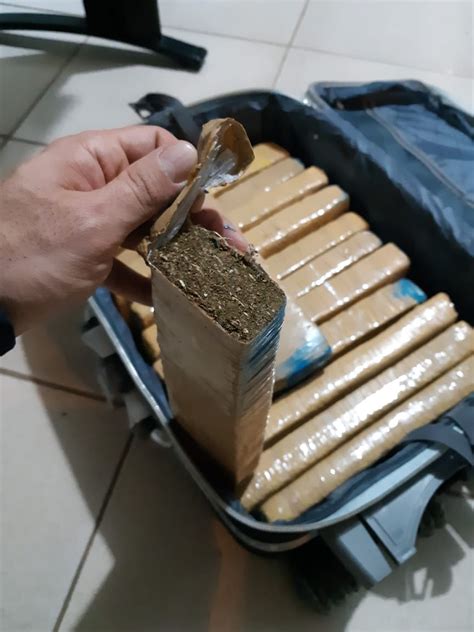 Servente de pedreiro é preso 10 kg de maconha em ônibus na BR 364