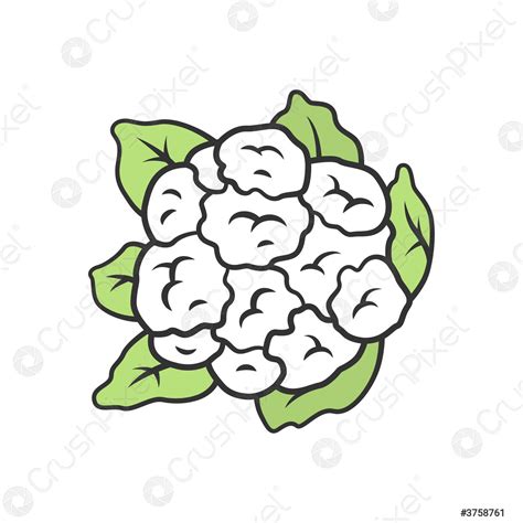 Cauliflower Color Icon Stock Vector 3758761 Crushpixel