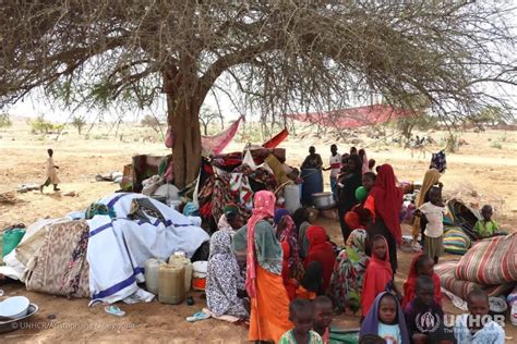 UNHCR mobilizes to help people fleeing Sudan for neighboring countries