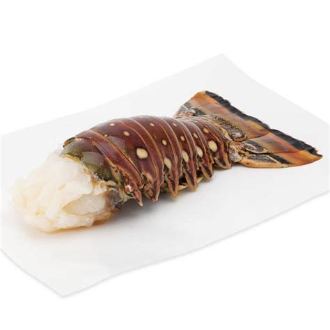 CUBAN LOBSTER TAILS 7-8 OZ (5KG) – Seafood Hookup