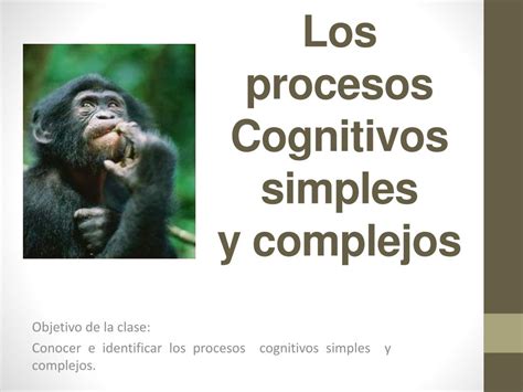 Ppt Los Procesos Cognitivos Simples Y Complejos Powerpoint