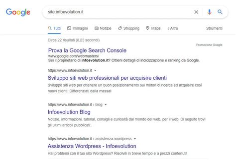 Come Indicizzare Un Sito Web INFOEVOLUTION