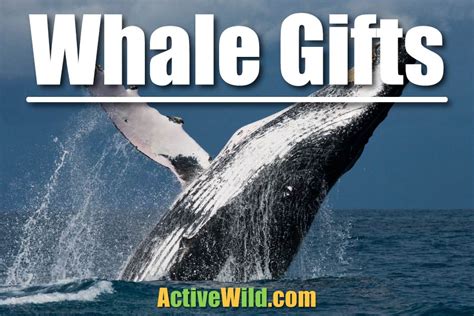 Whale Gifts - A Selection Of Gifts For Whale Lovers - Active Wild