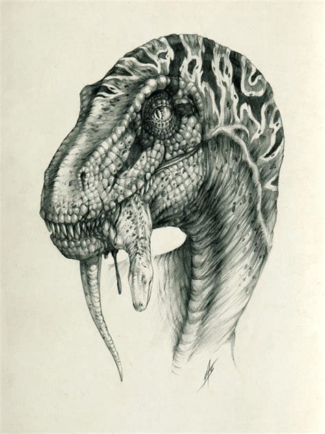 Velociraptor By Antarcticspring On Deviantart