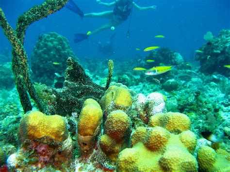 Ямайка — подробная информация о стране