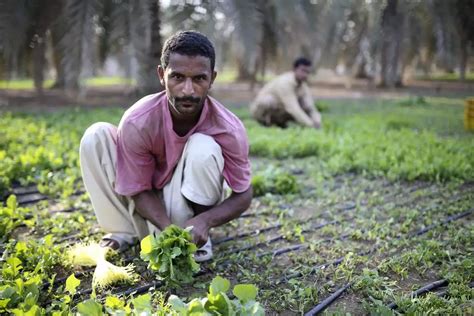 Uae Agritourism Farm Stay Bliss Ask Aladdin