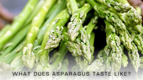 What Does Asparagus Taste Like Updated 2025