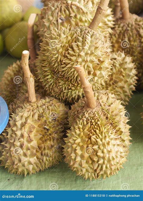 Durian from Thailand Fruit Ready To Eat from the Tree in the Garden Yellow Gold Stock Photo ...