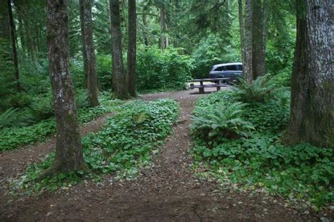 Mora Campground Updated 2018 Reviews Olympic National Park Wa