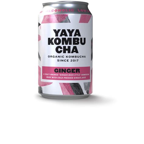 YAYA Kombucha ginger bestellen | Albert Heijn