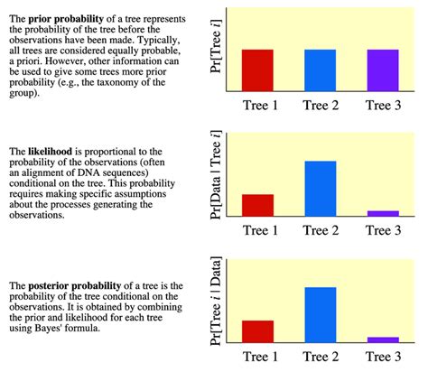 The Main Components Of A Bayesian Analysis Download Scientific Diagram