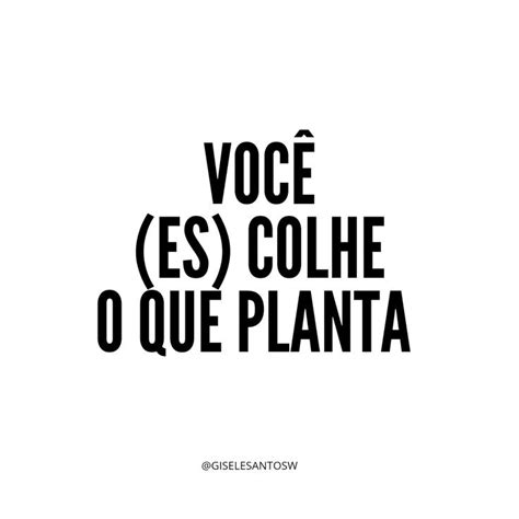 Você ES colhe o que planta Quem planta colhe Frases inspiracionais