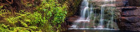 8 Best Waterfalls in Kodaikanal - 2025 (With Photos & Reviews)