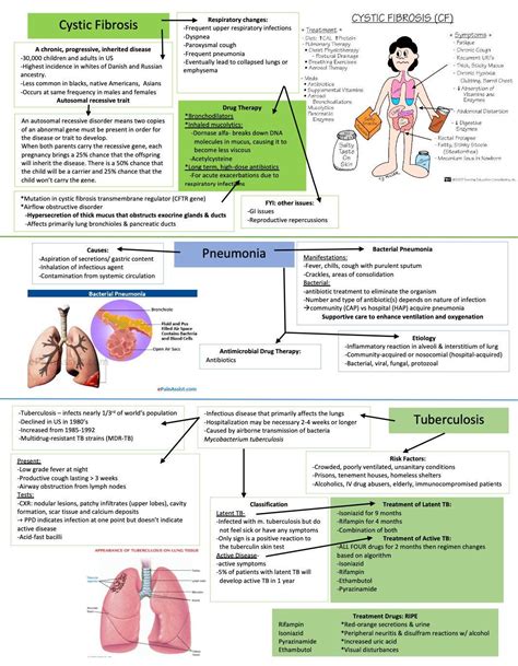 Cystic Fibrosis Pneumonia Tuberculosis Ventilation Asthma Copd