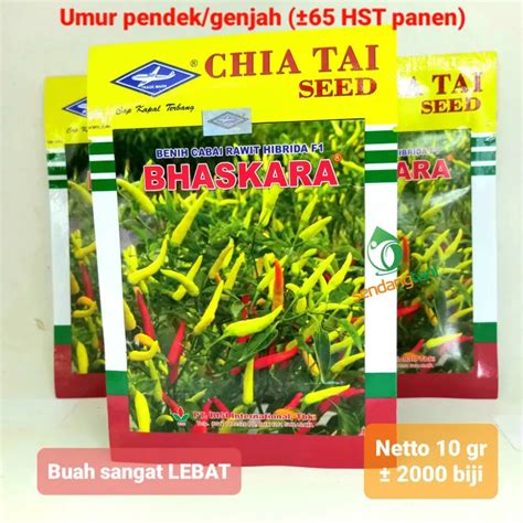 Cabe Bhaskara F Gr Benih Bibit Cabai Rawit Merah Hibrida Dari Bisi