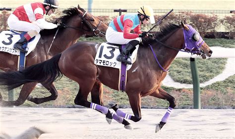 【画像】【東京12r・4歳上2勝クラス】タマモロックに騎乗した永野猛蔵騎手が復帰デーにv「オーナーに感謝したい」 ライブドアニュース