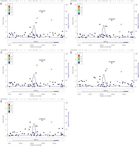 Regional Association Plots For The WISP1 5 Kb Region For BMD In