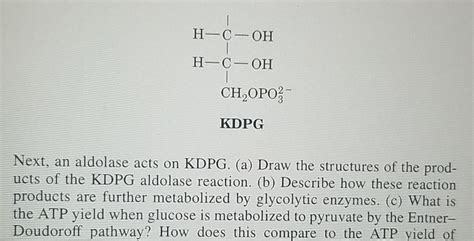 Solved 24. The enzyme phosphoglucomutase interconverts | Chegg.com