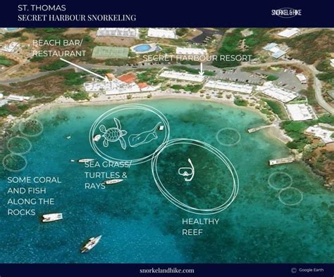 Best St Thomas Snorkeling| 9 Top Beach & Boat Spots - Snorkel and Hike