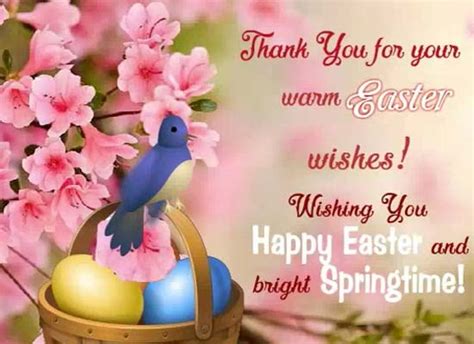 Easter Thanks With Special Wishes Free Thank You Ecards Greeting