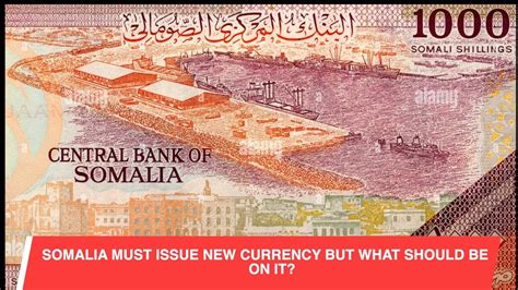 ANALYSIS SOMALIA MUST ISSUE NEW CURRENCY BUT WHAT SHOULD BE ON IT