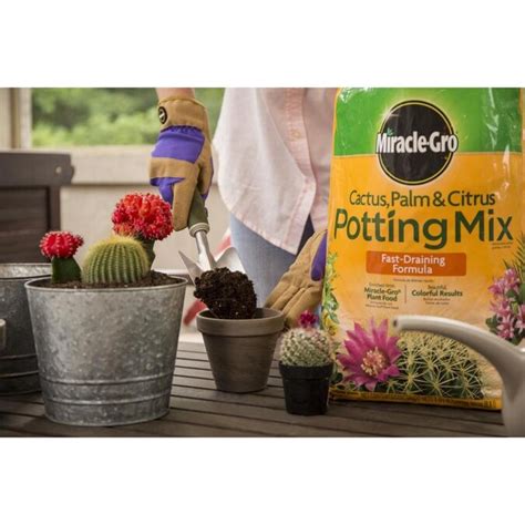 Miracle Gro 8 Quart Potting Soil Mix In The Soil Department At