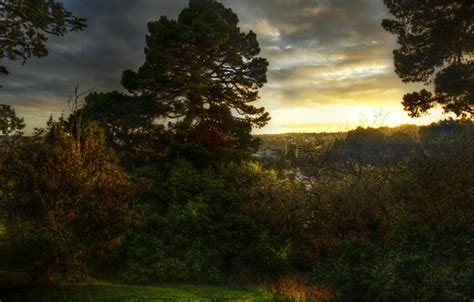 Wallpaper forest, sunset, nature, the city, photo, dawn, New Zealand ...