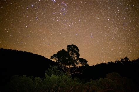 premium photo night sky  australia