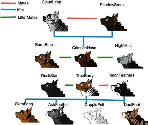 Warrior Cat Family Tree By Xxcrystalshine39xx On Deviantart - Warrior ...