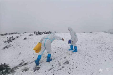 新疆和静：齐心抗疫守一线 风雪路上不言退 央广网