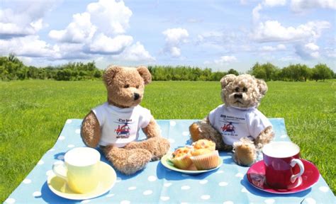 Teddy bears picnic | Local Events | What's on Peterborough | Cambridgeshire