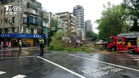 快訊／午後雷陣雨強襲 北市松山區路樹倒塌壓毀1車│台北市│交通管制│tvbs新聞網