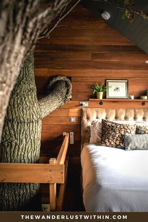 21 airbnb treehouse holidays uk best uk treehouses to stay in 2022 ...