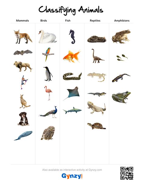 Birds Of Iowa 9