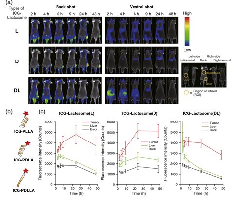 Figure From Control Of In Vivo Blood Clearance Time Of Polymeric