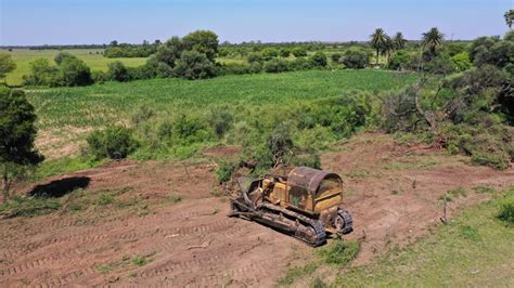 Detuvieron Un Desmonte Ilegal En Corzuela El Diario De La Regi N