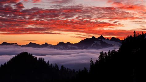 Forest Mountains Sunset Fog Valley Coolwallpapersme