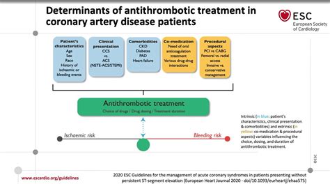 2020 Esc Guidelines On Nsteacs 10 Key Concepts To Remember And