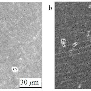 SEM Microstructure After A Single Pass ECAP And B Four Passes ECAP