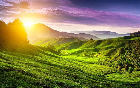 Cameron Highlands Wallpapers - Wallpaper Cave