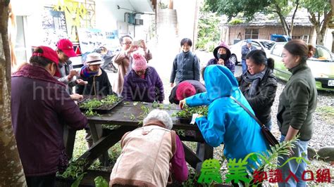 推廣原鄉特色作物 花蓮農改場設置原住民族農產業主題館與保種圃 農業知識入口網