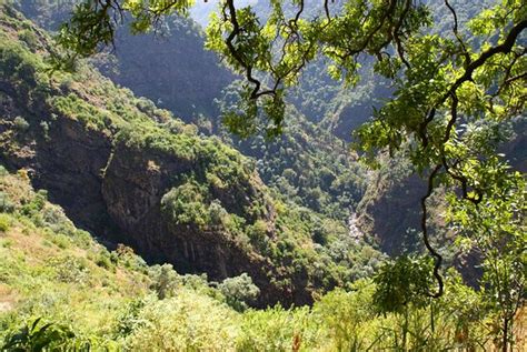 Simien Mountains Tour Gonder 2022 Lohnt Es Sich Mit Fotos