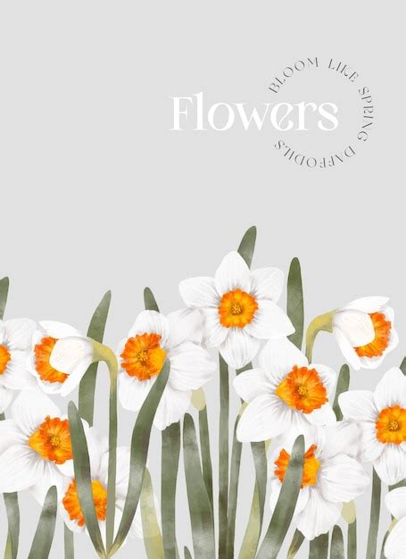 Premium Vector Watercolor Spring Flowers