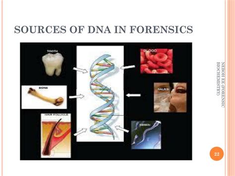 Ppt Forensic Biochemistry Powerpoint Presentation Free Download Id349282