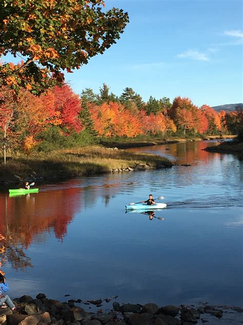 Bar Harbor Fall Foliage 2024 - Reiko Charlean