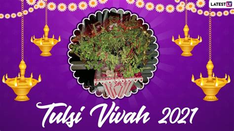 Tulsi Vivah 2021 Dos and Don’ts: From Auspicious Direction To Plant Tulsi to Puja Vidhi ...