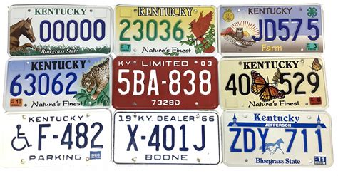 Lot Vintage Kentucky License Plates